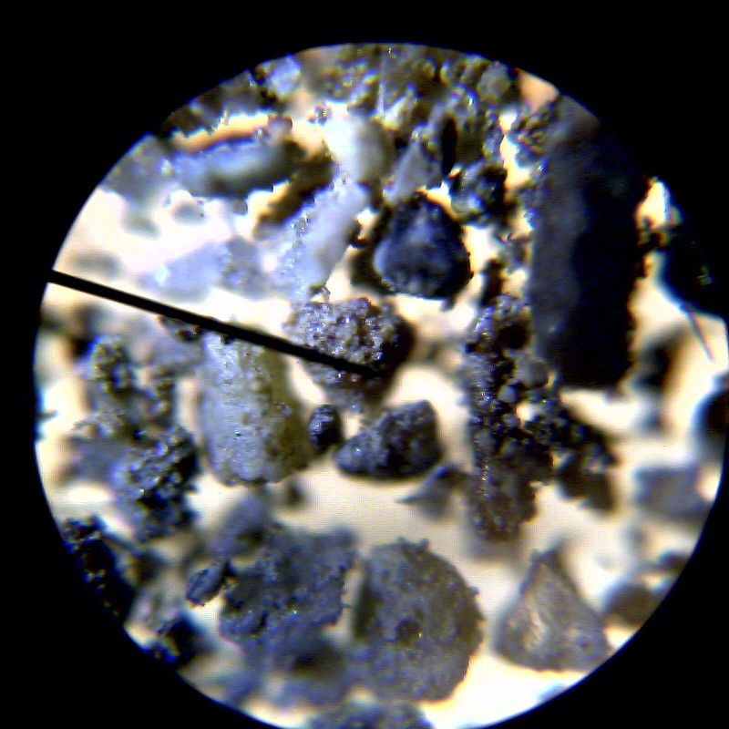 Microscope fun for kids